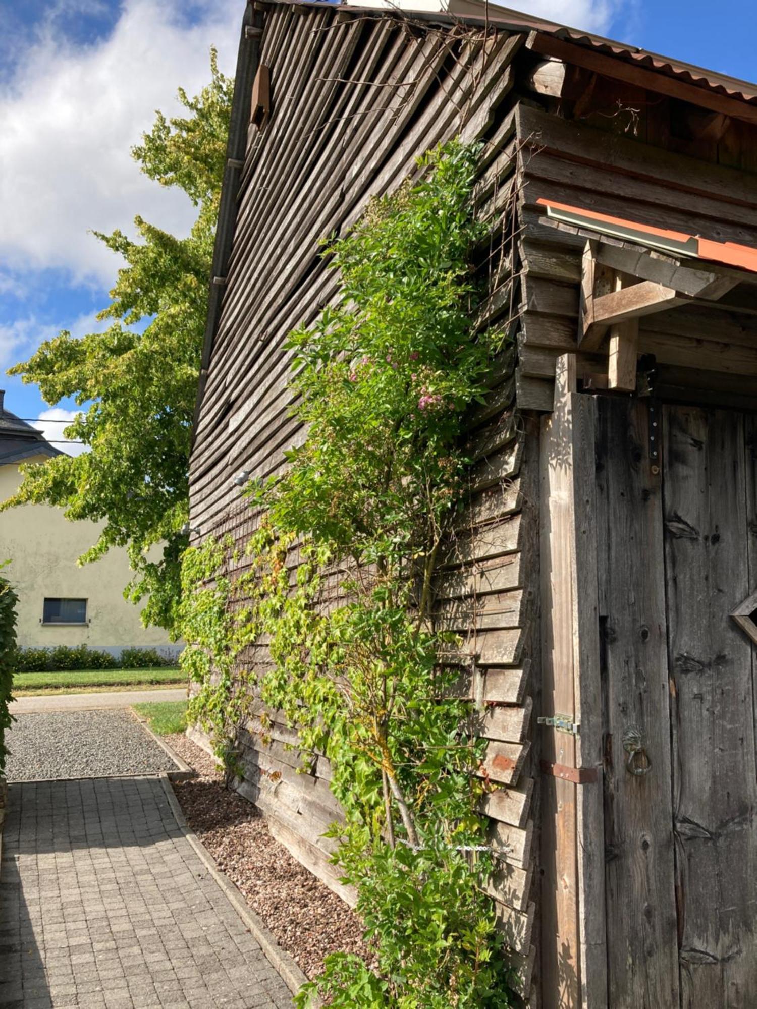 Paulis Cozy 4-Bedroom Vacation Home - With 4 Bathrooms Sun Terrace & Sauna, Nice To Hike & Bike, To Chil & Meet Büllingen Buitenkant foto